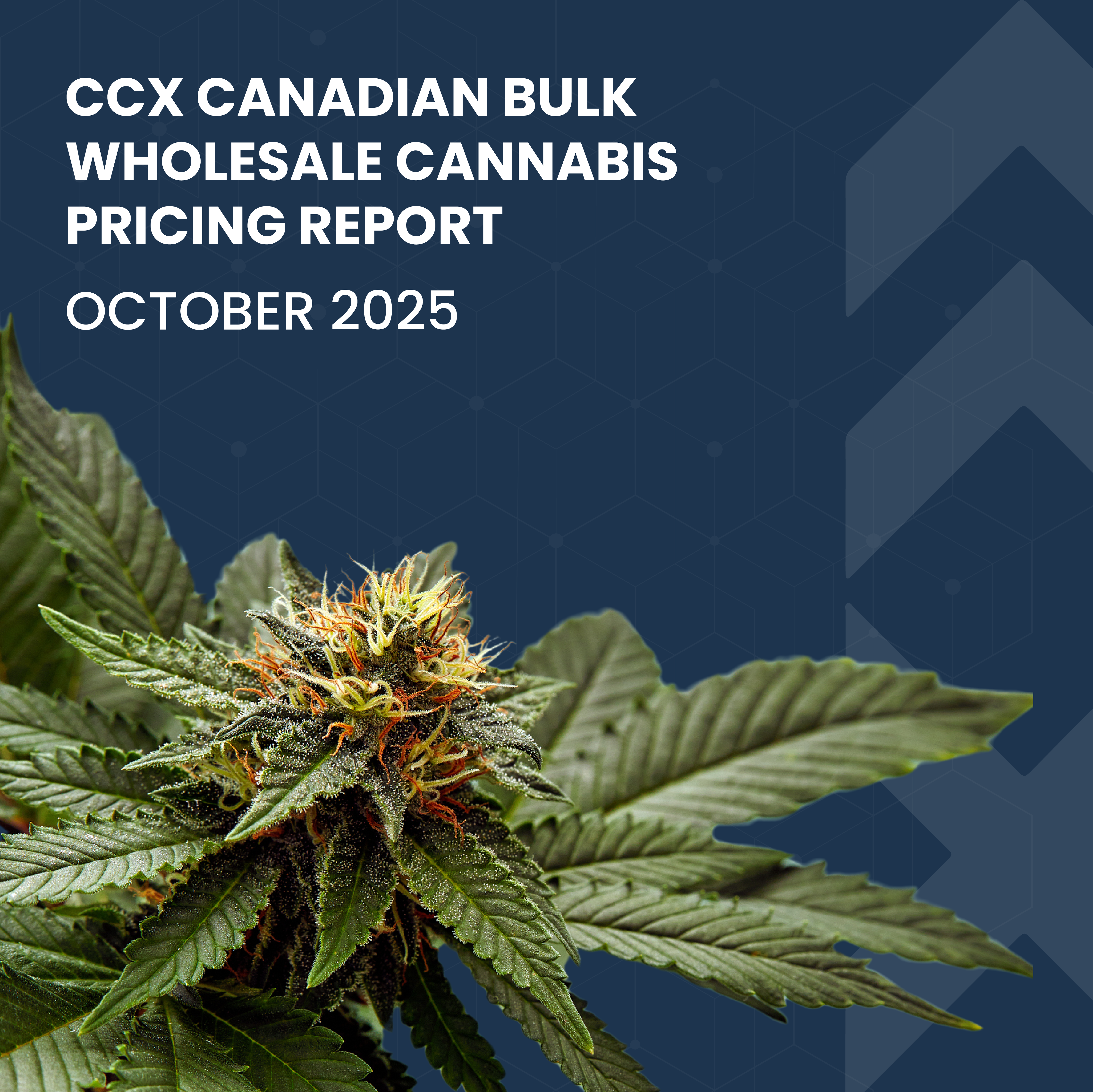 CCX End of Month Report - October 2025
